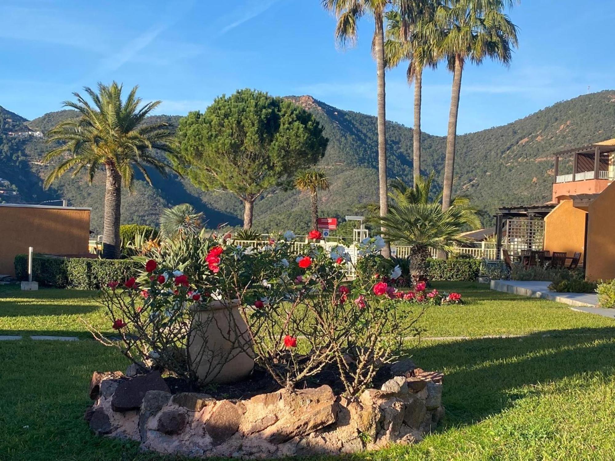 Vue Mer Et Jardin Теуль-сюр-Мер Экстерьер фото
